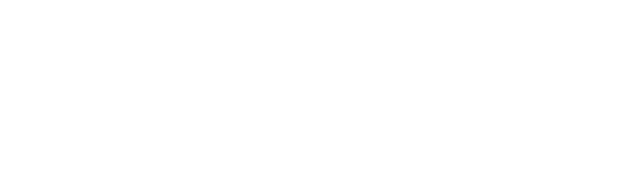 Dr. Pallavi Chindam